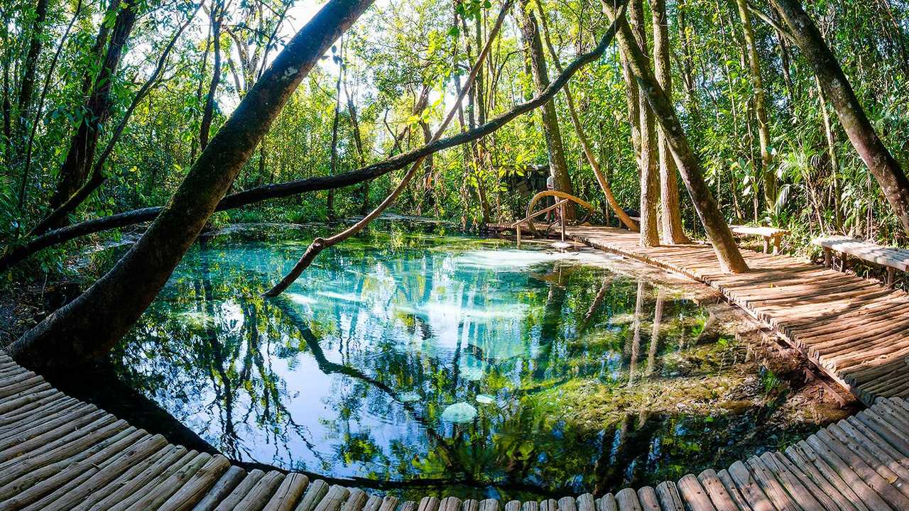 Guia Completo de Rafting em Brotas