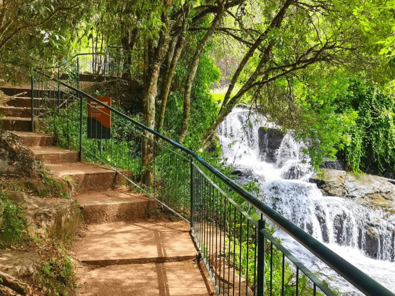 1. Guia Completo: Parque Estadual do Caracol
2. Bondinhos Aéreos Canela: Uma Experiência nas Alturas
3. Tour Pé da Cascata Explorer: Aventura Imersiva
4. Dicas Essenciais para Visitar a Cascata do Caracol
5. Comparativo: Qual a Melhor Forma de Ver a Cascata do Caracol?