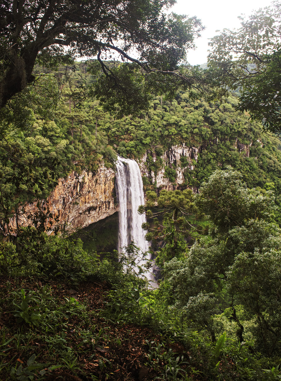 o que fazer em canela cascata do caracol