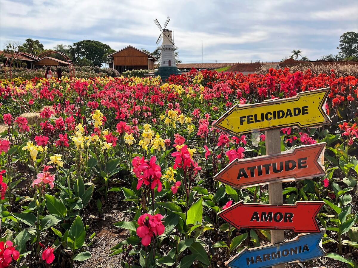 custo visita campos de flores Holambra
