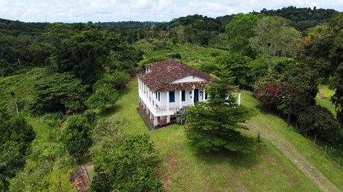 o que fazer em Ilhéus fazendas de cacau