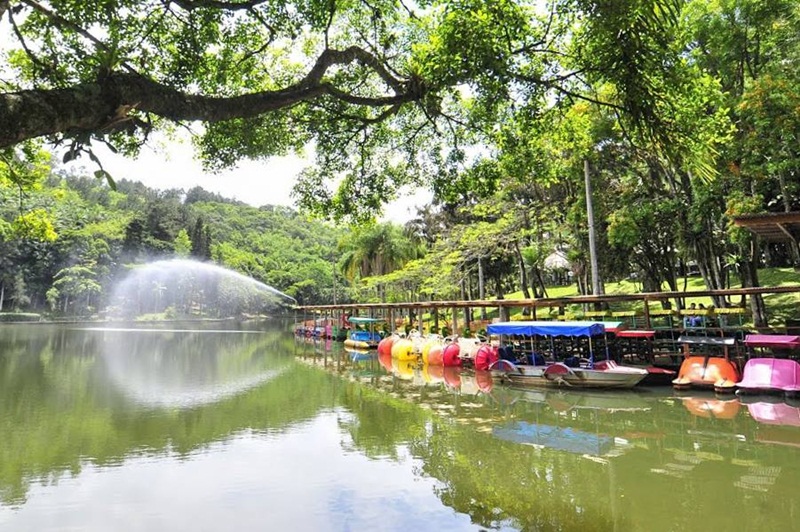 o que fazer em jaraguá do sul parque malwee
