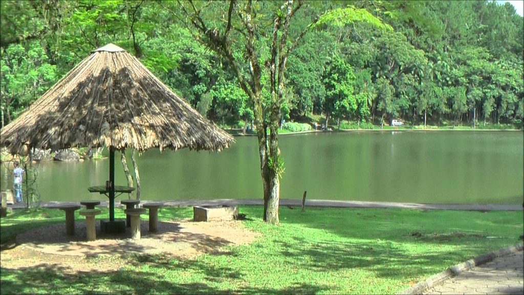 melhores atividades para fazer no parque malwee
