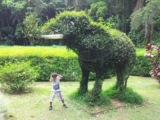parque malwee vs outros parques jaragua do sul
