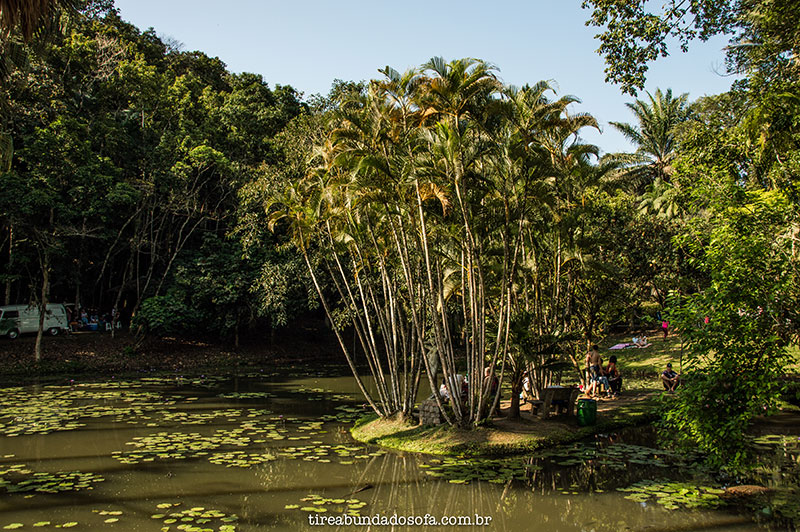 trilha circular parque malwee tempo percurso