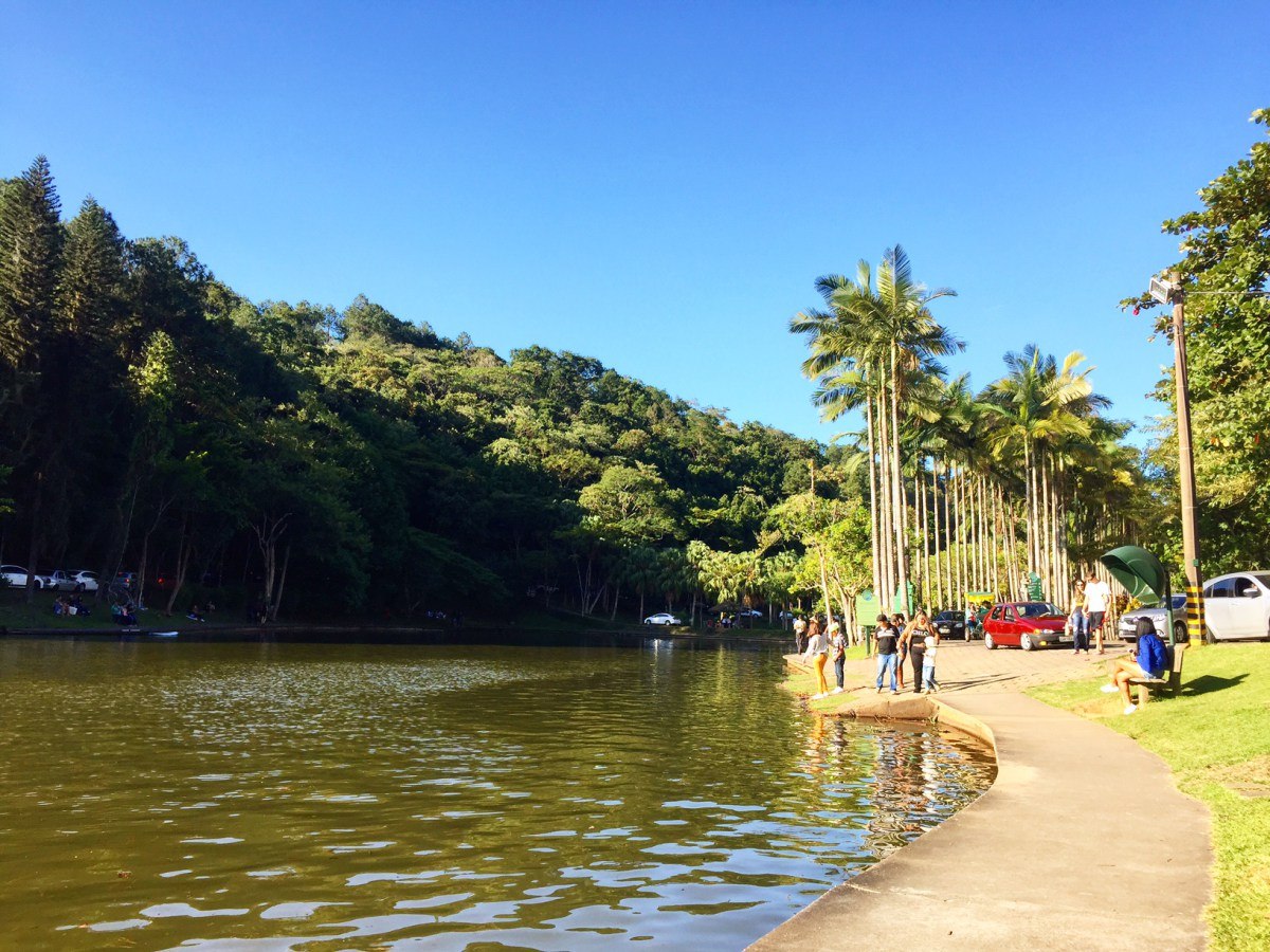 melhores atividades para fazer no parque malwee