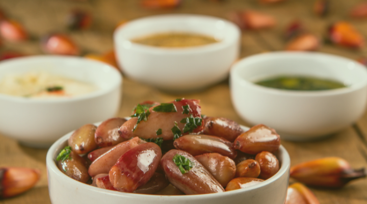 transporte festa do pinhão