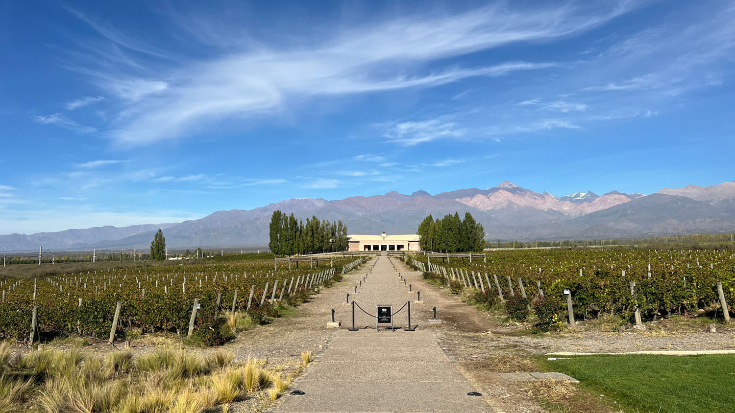 o que fazer em mendoza argentina vinícolas