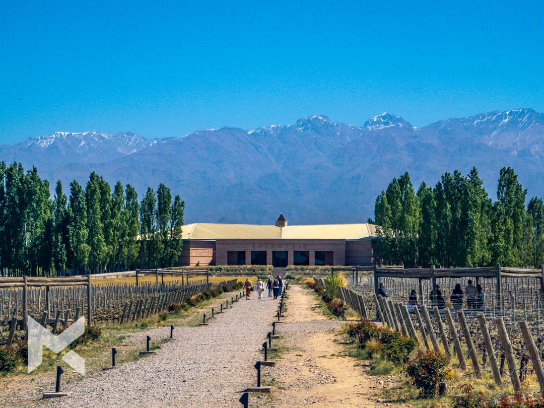 o que fazer em mendoza argentina vinícolas