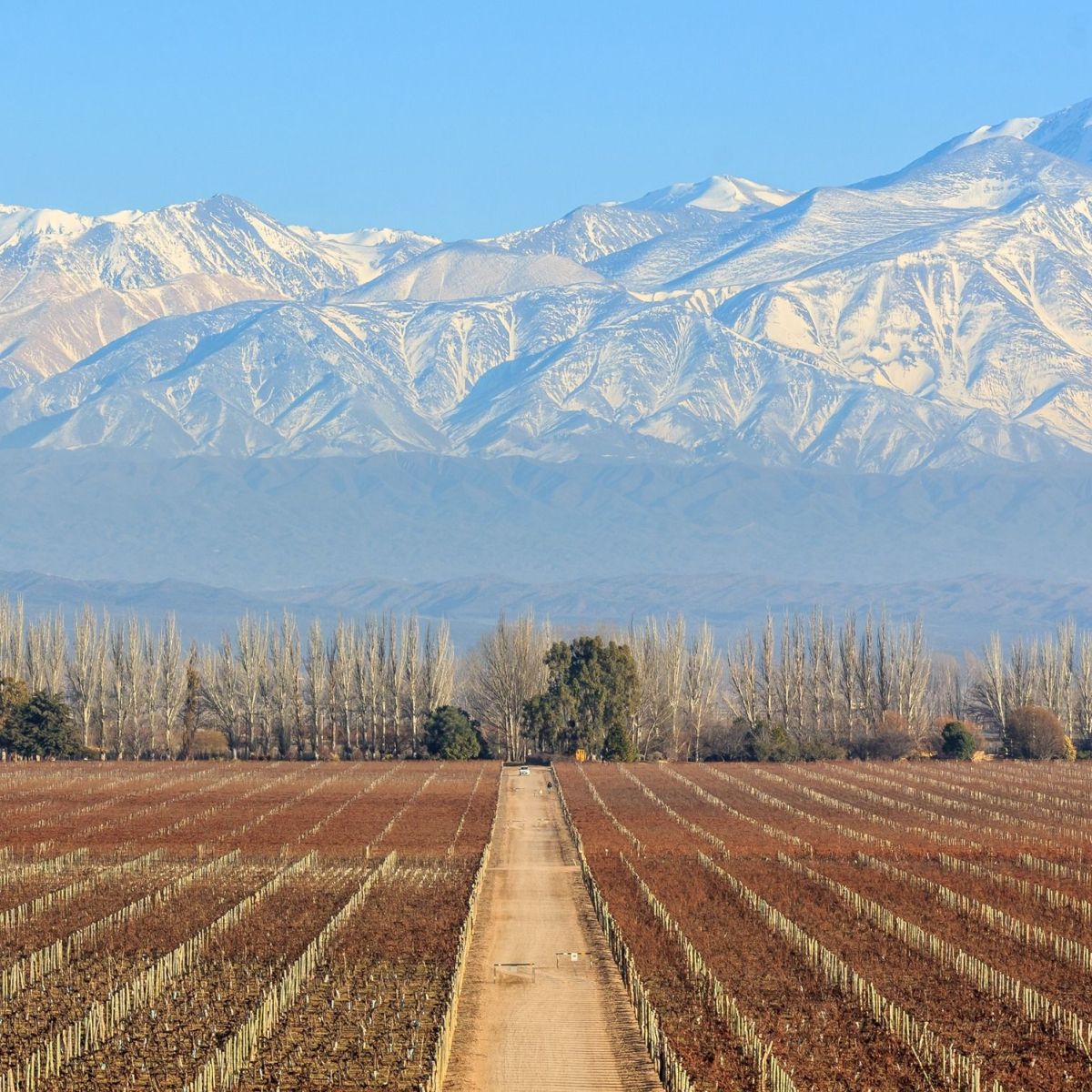 o que fazer em mendoza argentina vinícolas