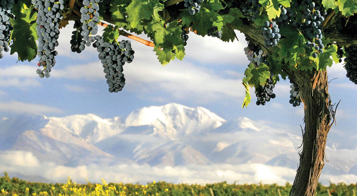 o que fazer em mendoza argentina vinícolas