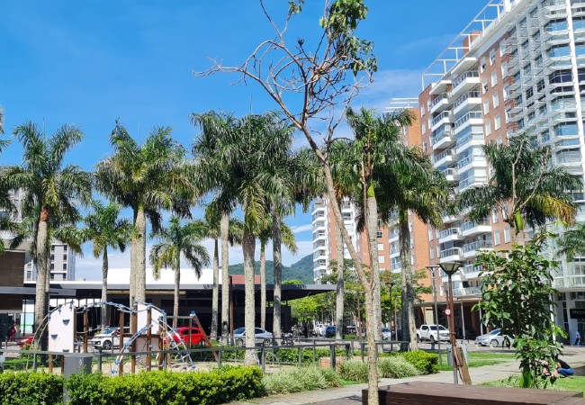 melhores lugares para visitar em palhoça pedra branca