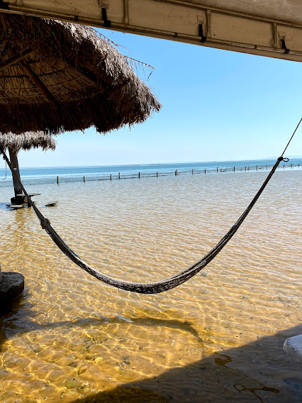 o que fazer em palmas praias de rio