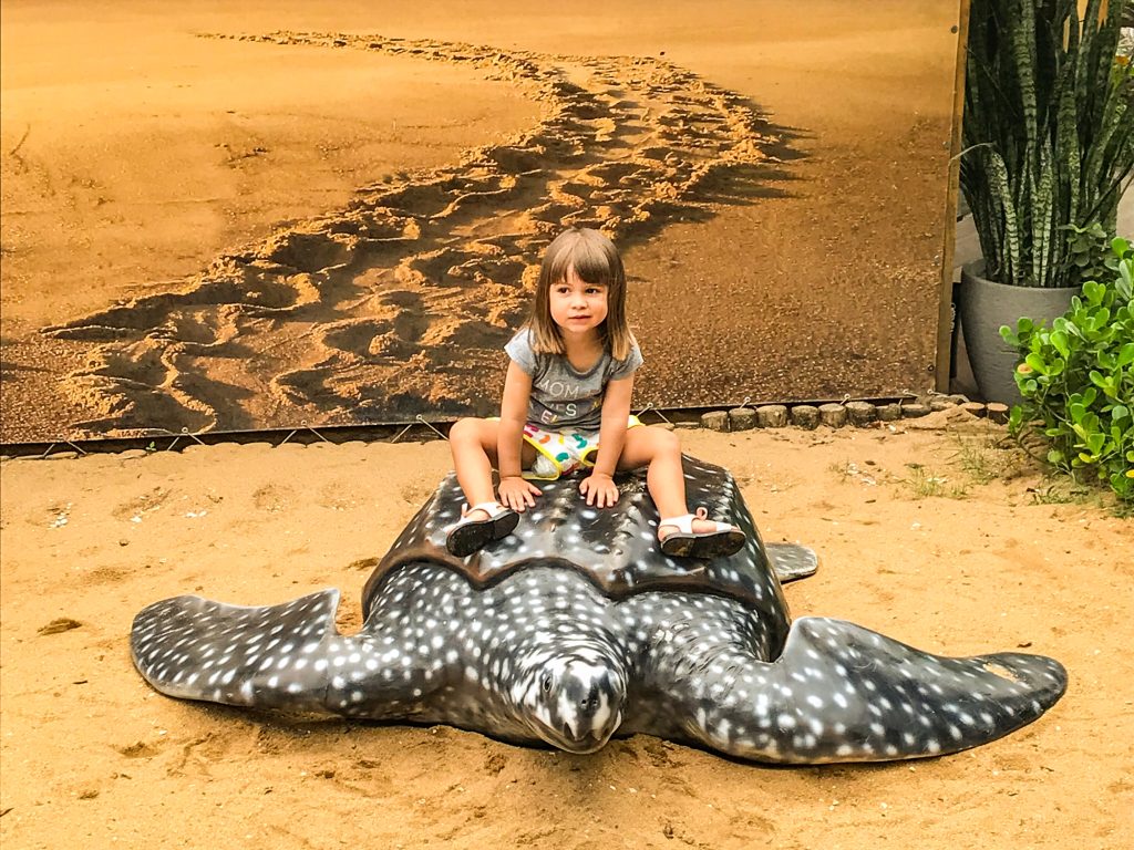 Roteiro Cultural: Pontos Históricos e Museus em Vitória e Vila Velha