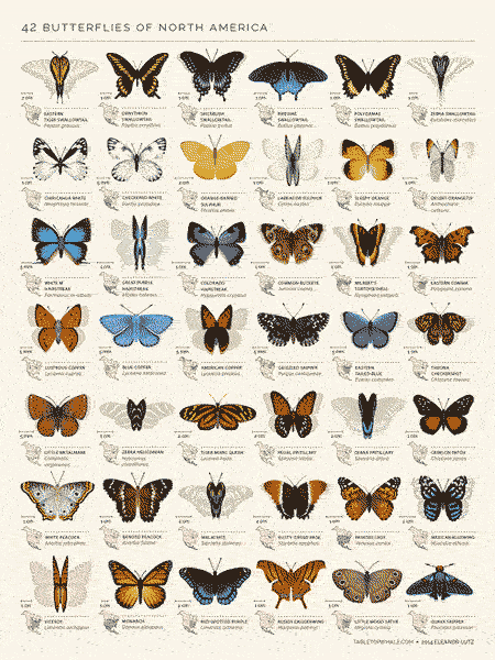 qual o significado da borboleta na espiritualidade