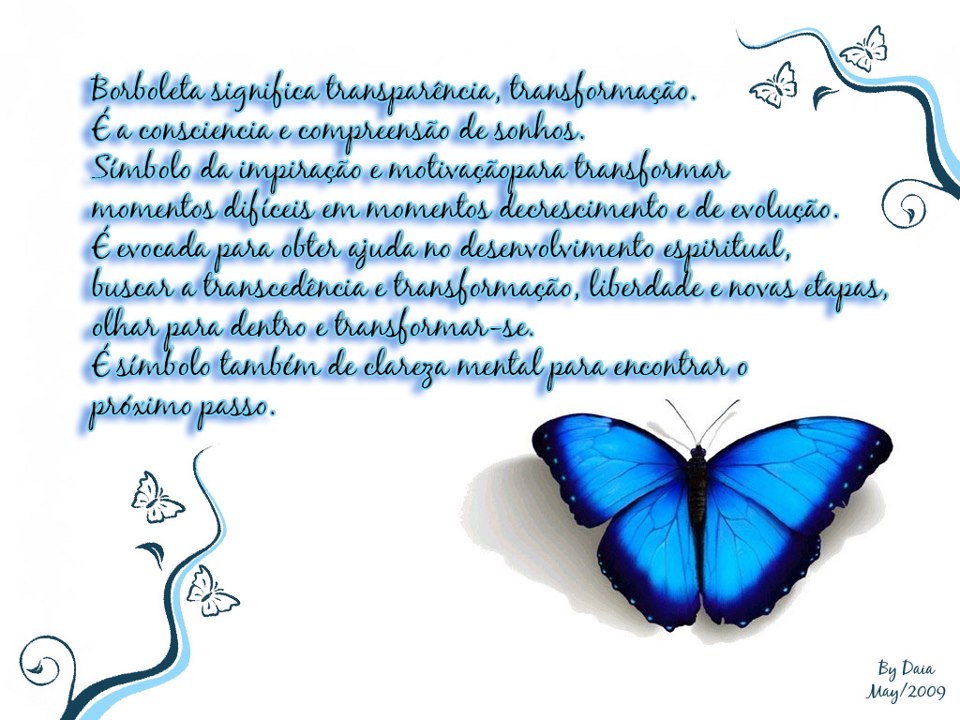o que significa borboleta pousando em mim