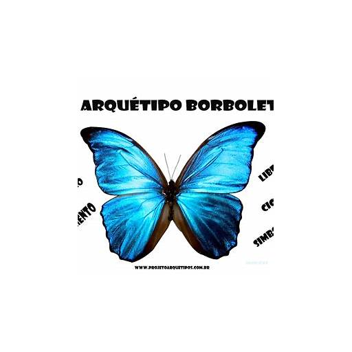 o que significa sonhar com borboleta