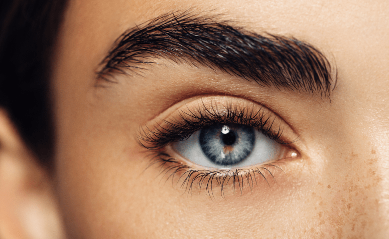 Como Escolher o Melhor Óleo de Rícino para Suas Sobrancelhas