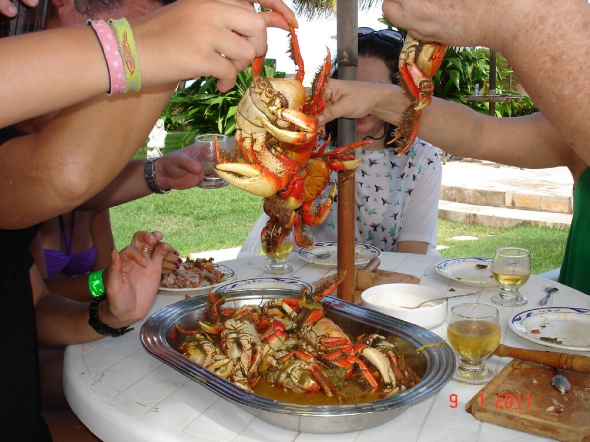 Guia Completo da Passarela do Caranguejo