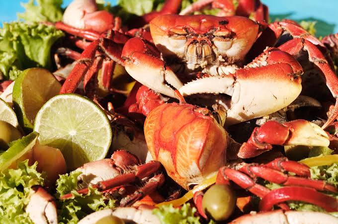 Caranguejo vs. Outros Frutos do Mar: Qual Escolher?