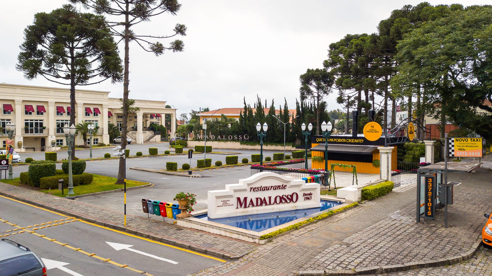 Dicas de Vinhos Italianos para Harmonizar com Massas