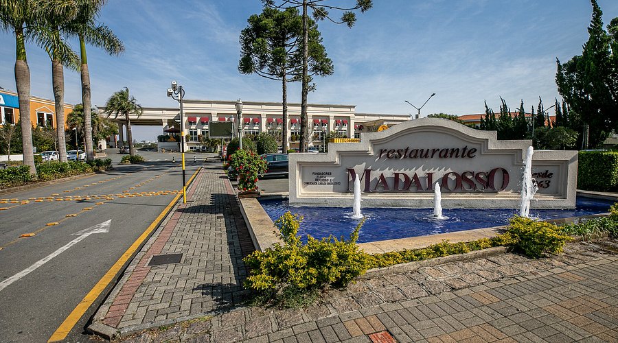 Guia Completo de Pizzarias em Curitiba