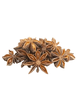 melhores receitas com anis estrelado