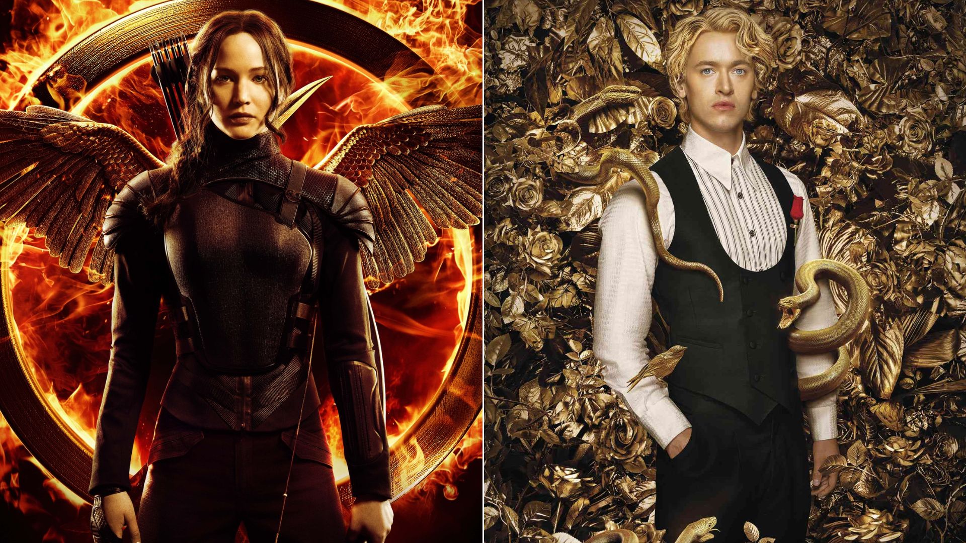 ordem dos filmes jogos vorazes