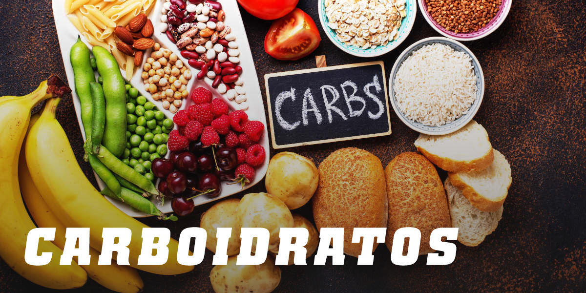 funções dos carboidratos no corpo humano