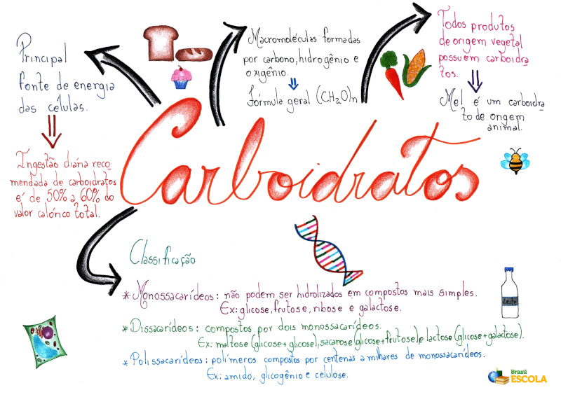 importância dos carboidratos para a saúde