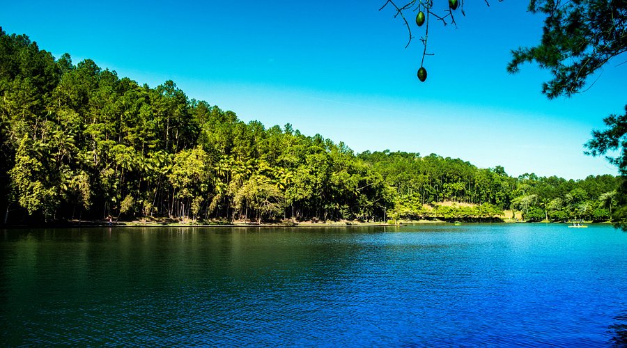 evitar filas parque malwee jaragua do sul