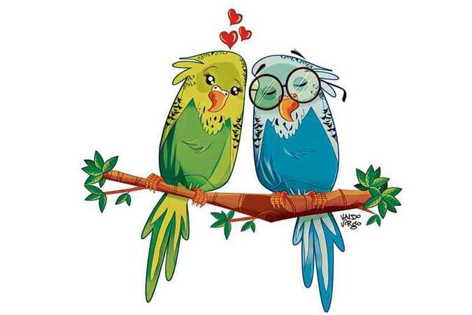 5 ideias de títulos:
1. Periquito vs. Espelho: Entenda o Conflito e Salve Seu Pássaro!
2. O Perigo Oculto dos Espelhos na Gaiola do Seu Periquito
3. Como Resolver a Agressividade do Periquito com o Próprio Reflexo
4. Periquito Estressado? Descubra se o Espelho é o Vilão
5. Alternativas Seguras ao Espelho para um Periquito Feliz e Saudável