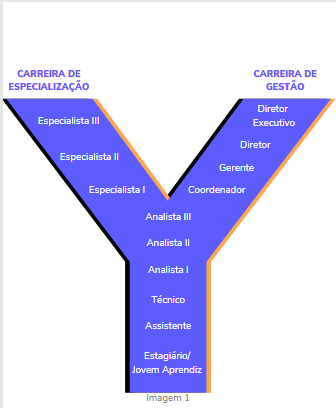 plano de carreira pessoal exemplo