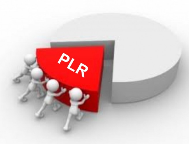 plr e participação nos lucros