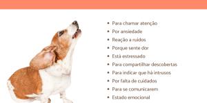 Por que meu cachorro uiva para sirenes: Um guia completo