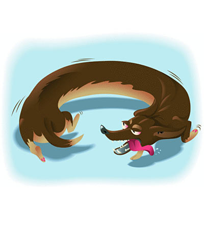 Quando se preocupar com o comportamento do seu cão