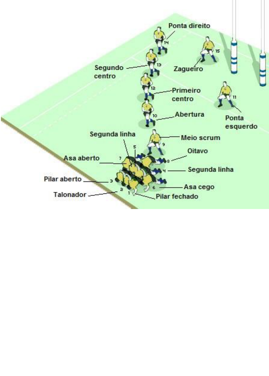 Como Cada Posição de Rugby Contribui para a Vitória do Time
