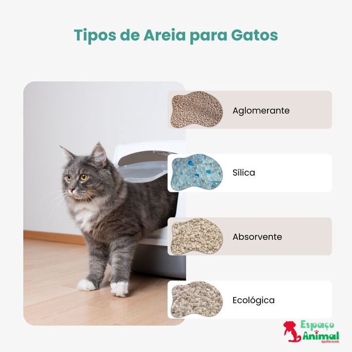 Areia Biodegradável para Gatos: Mandioca