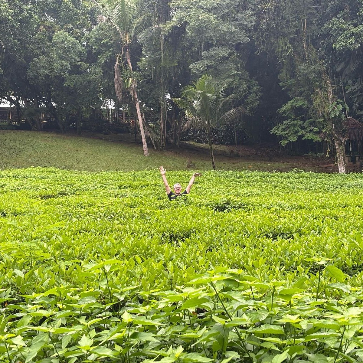 erros comuns ao planejar visita ao parque malwee e como evitar gastos