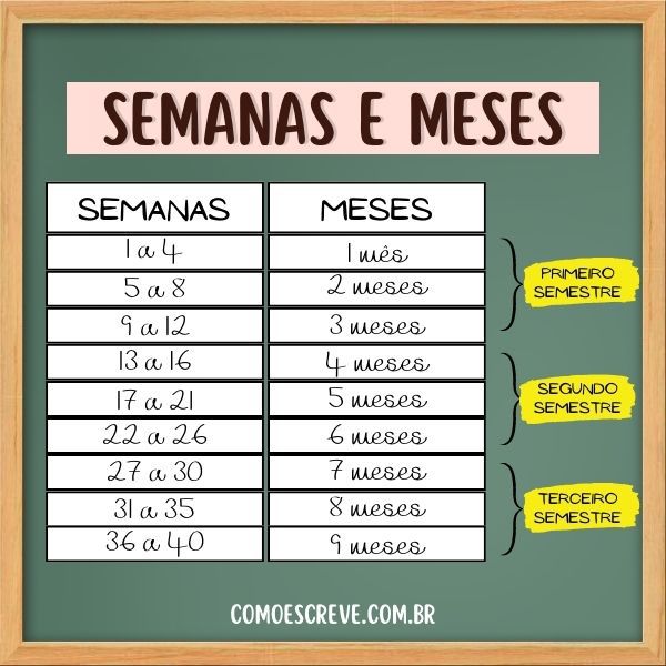 quantos meses tem 13 semanas de gravidez