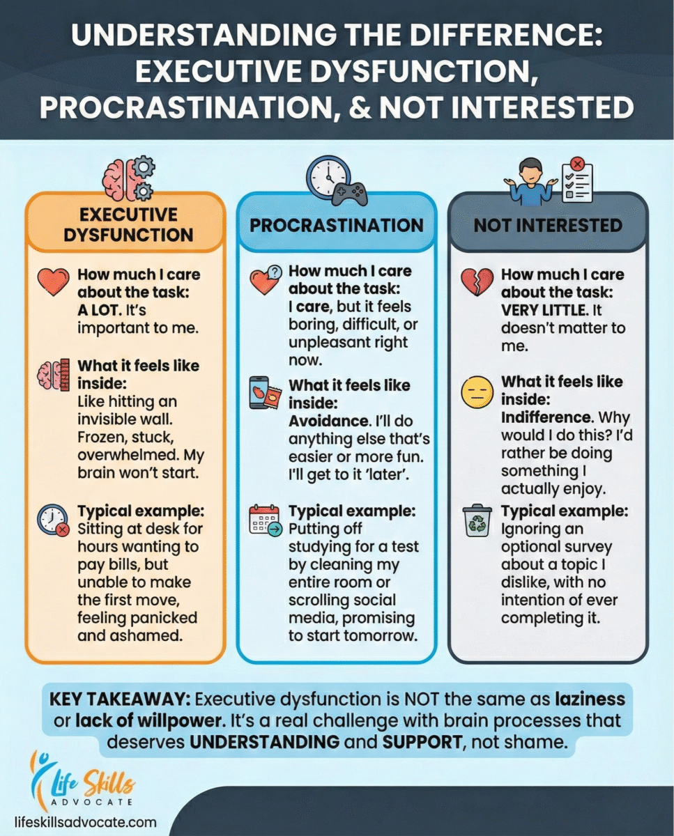 melhores memes que comece a zuera