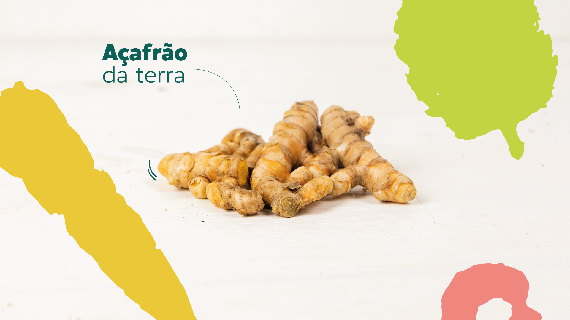 Receitas Com Açafrão Da Terra