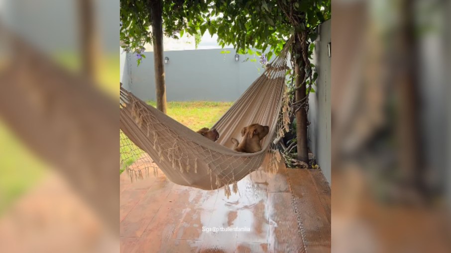 Além do Conforto: Histórias e Tradições por Trás das Redes de Dormir