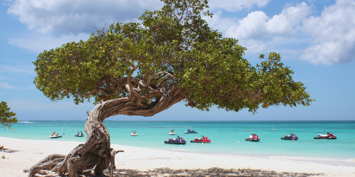 restaurantes recomendados em aruba