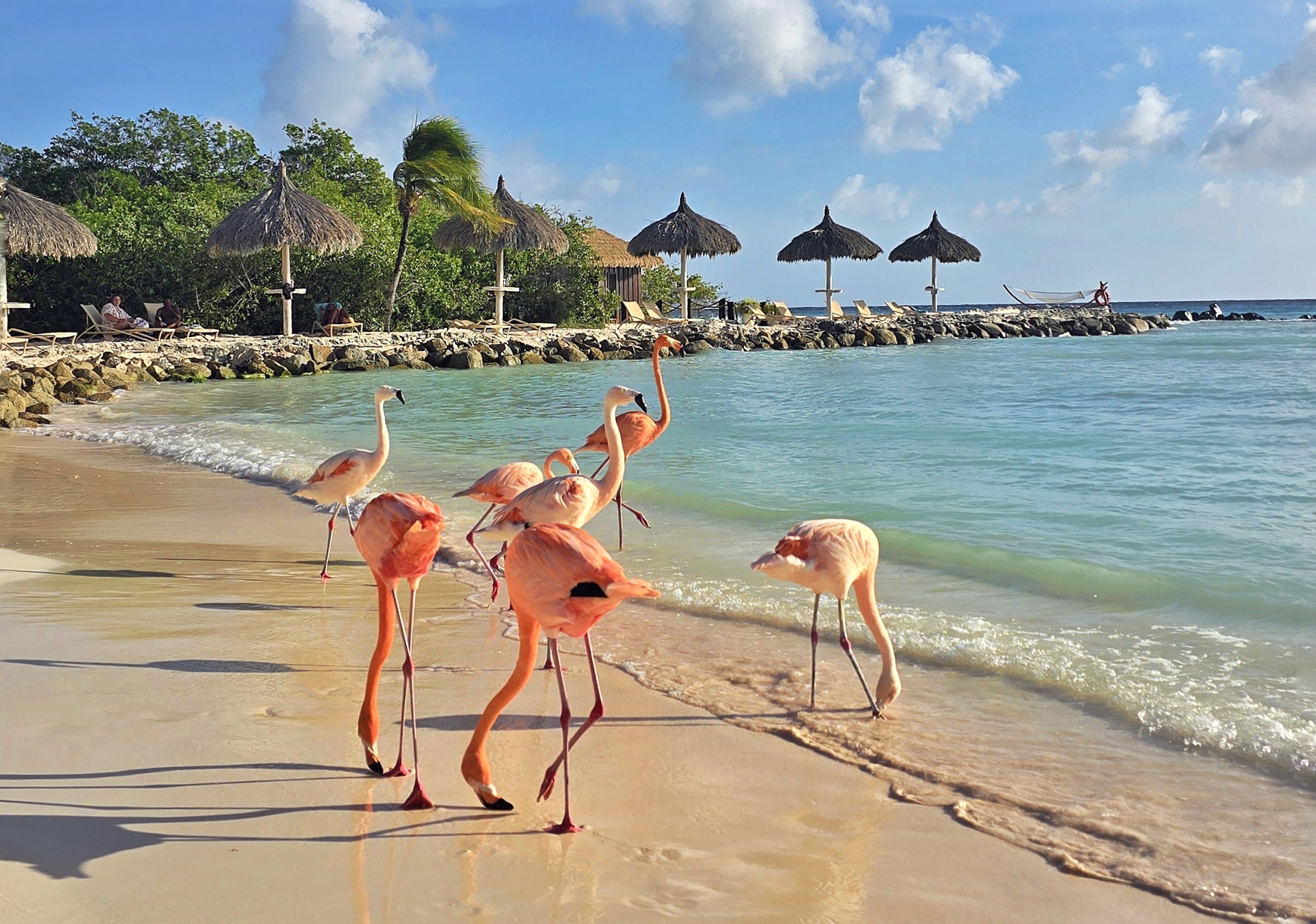 segurança em aruba