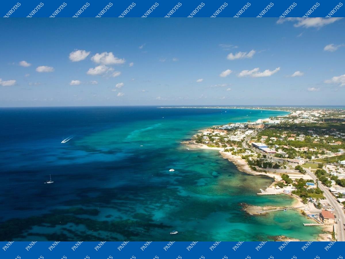 erros comuns ao visitar stingray city