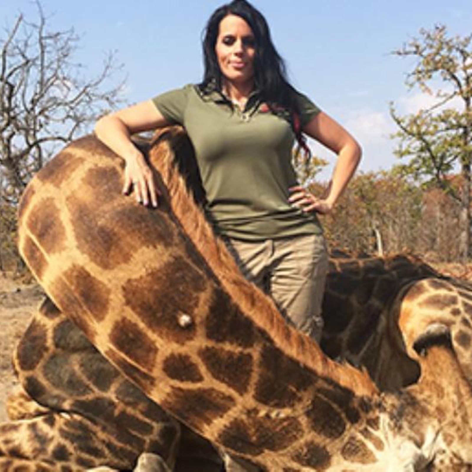 Outros casos de polêmica com caça por troféu