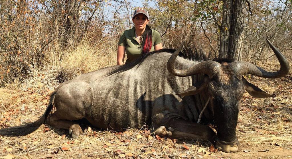 A perspectiva religiosa sobre o domínio animal