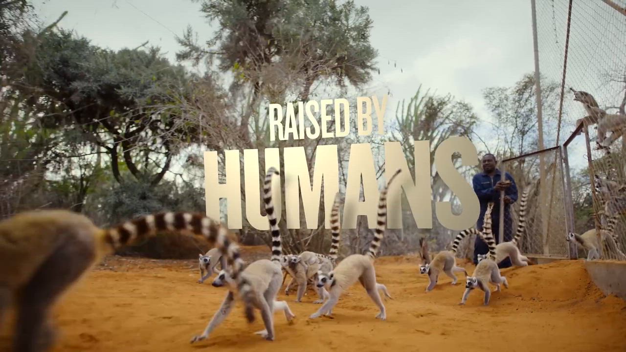 séries de documentário sobre natureza e animais selvagens