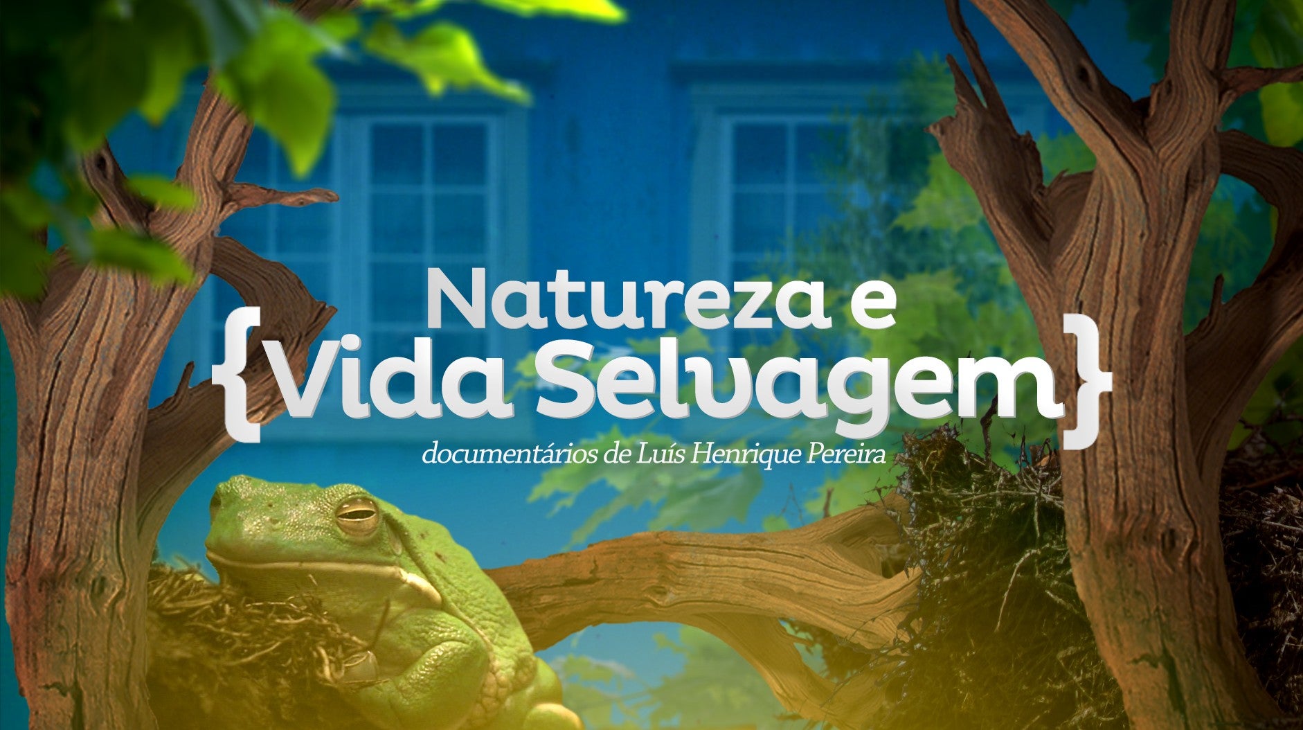melhores séries documentais natureza 2024 2025